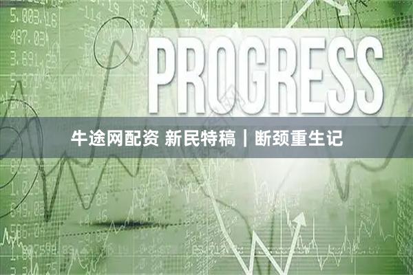 牛途网配资 新民特稿｜断颈重生记