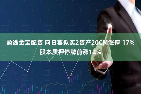 盈途金宝配资 向日葵拟买2资产20CM涨停 17%股本质押停牌前涨12%