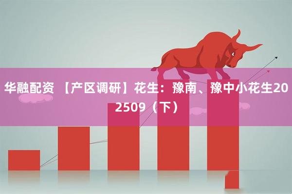 华融配资 【产区调研】花生：豫南、豫中小花生202509（下）