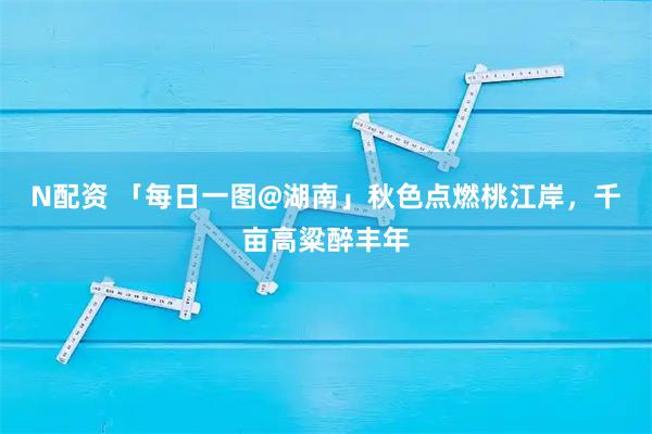 N配资 「每日一图@湖南」秋色点燃桃江岸，千亩高粱醉丰年