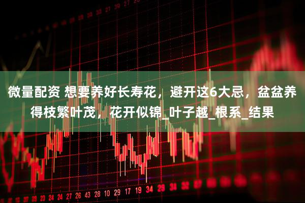 微量配资 想要养好长寿花，避开这6大忌，盆盆养得枝繁叶茂，花开似锦_叶子越_根系_结果